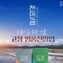 천만금 이미지