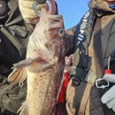 킹콩낚시 이미지