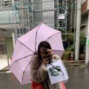 수포토 이미지