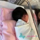 서울라본병원 | 이대 서울병원 선택 제왕 출산 후기 2️⃣ 수술 당일 타임라인, 1인실, 모자 동실, 고위험산과 이동