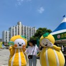 [2024 성주참외&amp;생명문화축제] 참여 후기 / 성주 놀거리 추천