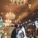 에이스 국제국내결혼 이미지