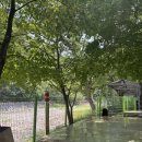 샛들민박 이미지