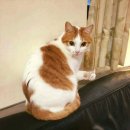 크레이브 이미지