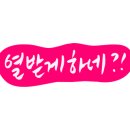 최고급한우 이미지