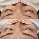 남달리(Nam-Dali)