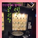 안산 감성카페 탐방기, 추천받고 가본 드로잉카페 후기