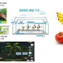 제이디팜 이미지