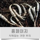 디엔씨무역 이미지