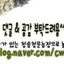 하천로 이미지