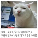 야