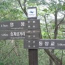 동아무도장 이미지