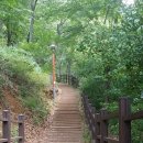 팔용산 체육공원 | 팔용산_창원