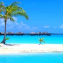 남태평양 이미지