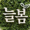 대영피부과의원 이미지