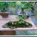 아름다움을먹다 이미지