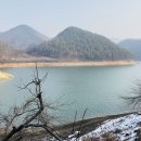 녹수와 청산의 집 이미지