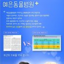 정금선 | 애견 슬개골탈구 하로의 양측 수술후기