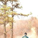임도조망점 이미지
