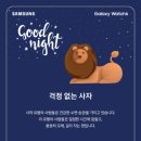 쌍용스토어 이미지