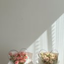 꽃;마음담다 이미지
