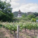 서부리 삼층석탑(西部里 三層石塔) 이미지