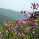 소백산 이미지