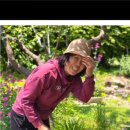 영해농장 이미지