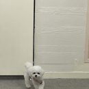 라풀(LAFULL) 이미지