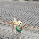 영동여관 이미지