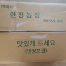 점순 농장 Daum카페