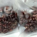 블루탐영농조합법인