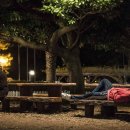 시인의 사랑 이미지