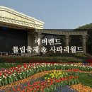에버랜드 오후권 금요일 방문한 사파리월드와 튤립축제