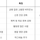 엠지플러스