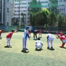 파란태권도 이미지