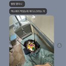 버묭