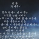 SB 행정사 사무소 이미지