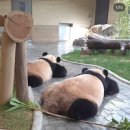 현대옥부안점 | 겨울인척하는 가을 그 어디쯤에서