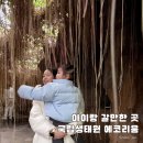 서문목욕탕 | 국립생태원 에코리움 주차장 관람시간 정리
