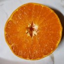 민우농장 이미지