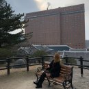남산힐호텔 | 서울 신라호텔 그랜드하얏트 jw메리어트 워커힐 인터컨티넨탈 비교 후기
