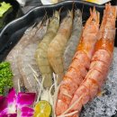 [Taipei] 타이베이 맛집추천, 마라훠궈 곰돌이 호식다제제 다안점 후기(예약, 주문방법)