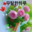 시류