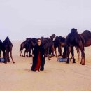 신기루농장 이미지