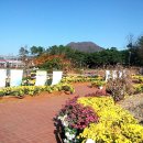 금정체육공원경륜장 이미지