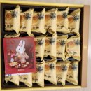 더리시안 이미지