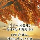 11월 3일 금요일 강원방 출석부 이미지