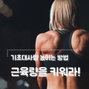 일렉트로스튜디오