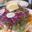 그랑삐아또 이미지